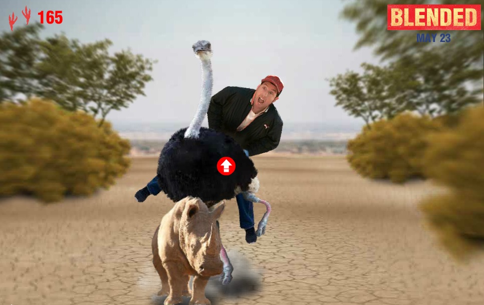 blended ostrich run.jpg